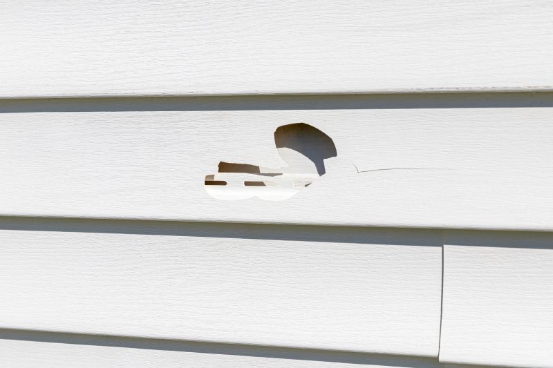 Inspecting Repaired Vinyl Siding